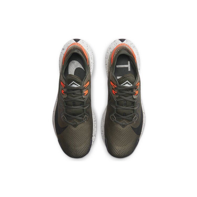 Nike Zoom Pegasus TRail 2