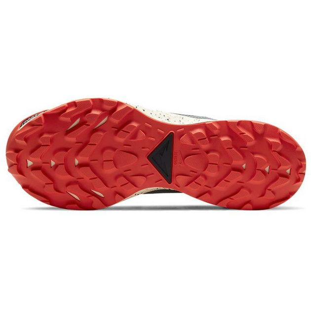 Nike Pegasus TRail 2 Gore-Tex