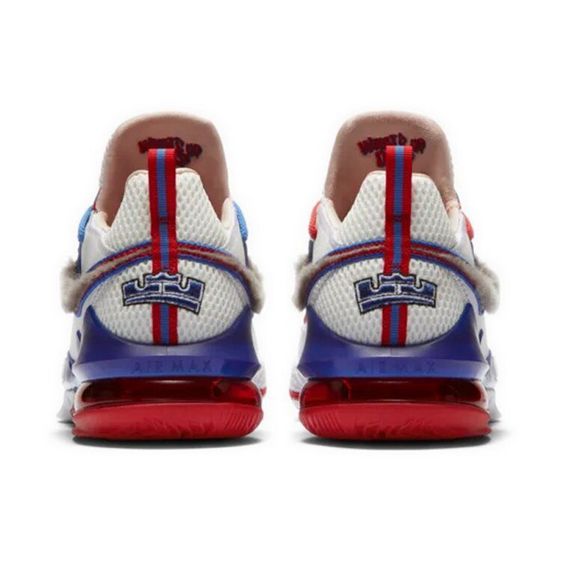 Nike LeBron 17