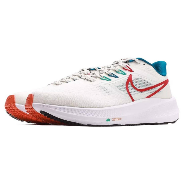 Nike Air Zoom Pegasus 39