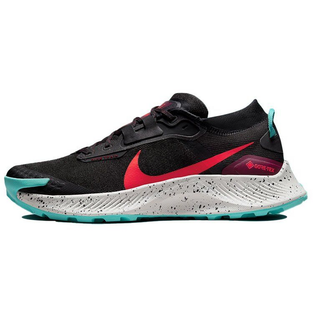 Nike Pegasus TRail 3 Gore-Tex