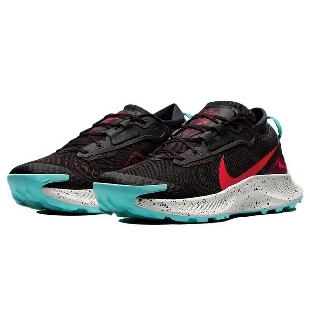 Nike Pegasus TRail 3 Gore-Tex