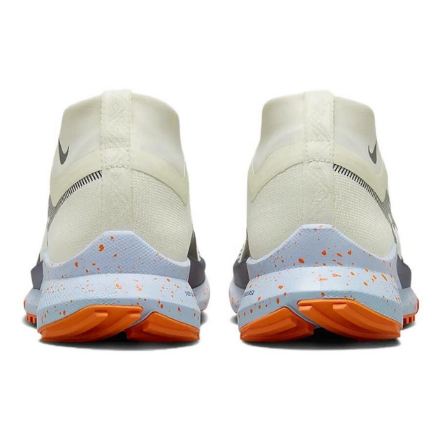 Nike Pegasus TRail 4 Gore-Tex