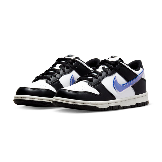 Nike Dunk GS