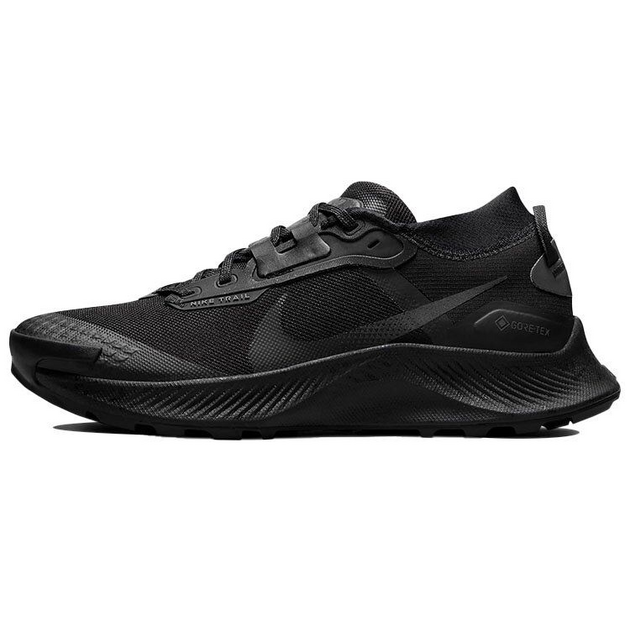 Nike Pegasus TRail 3 GTX