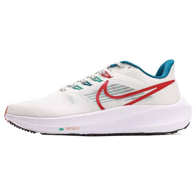 Nike Air Zoom Pegasus 39