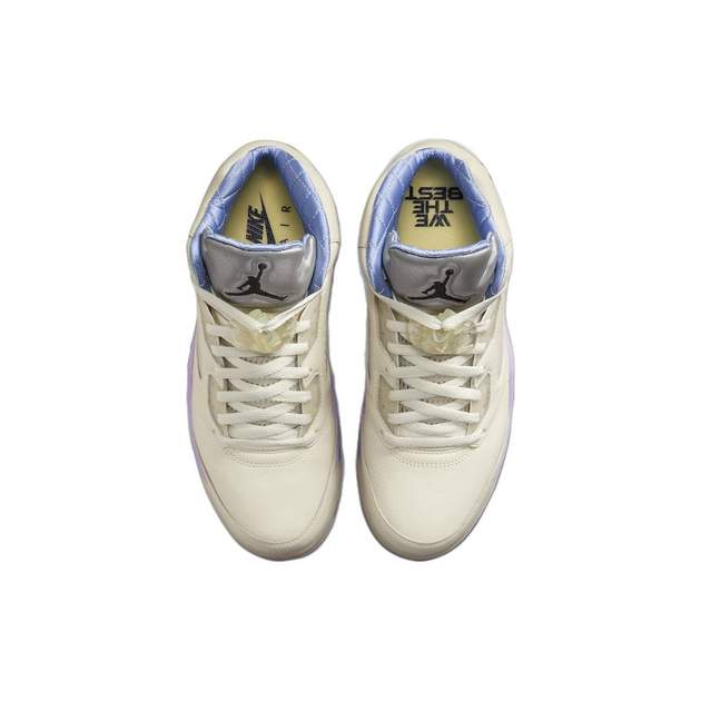 DJ Khaled x Air Jordan 5 we the best