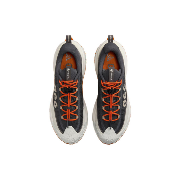 Nike ACG Mountain Fly 2 Low Gore-Tex