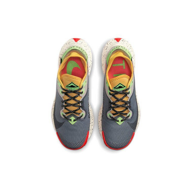 Nike Pegasus TRail 2 GTX