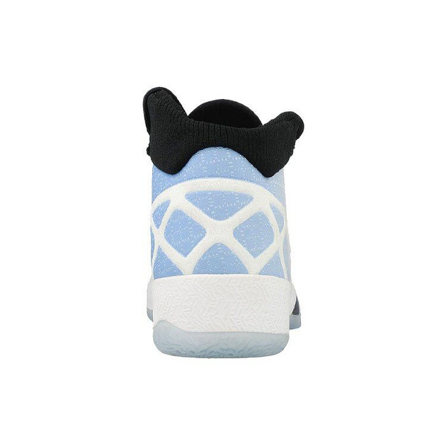 Air Jordan 30 UNC