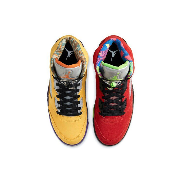 Air Jordan 5 Retro Se what the