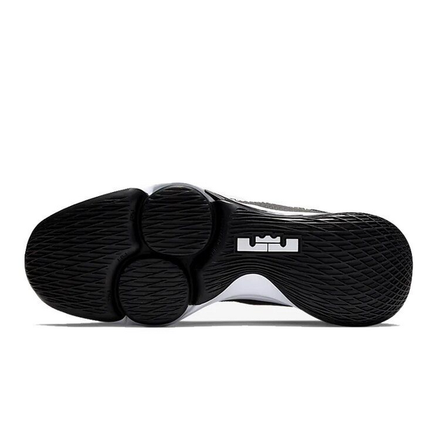 Nike Witness 4 LeBron