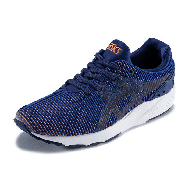 Asics Gel-Kayano TRainer Evo