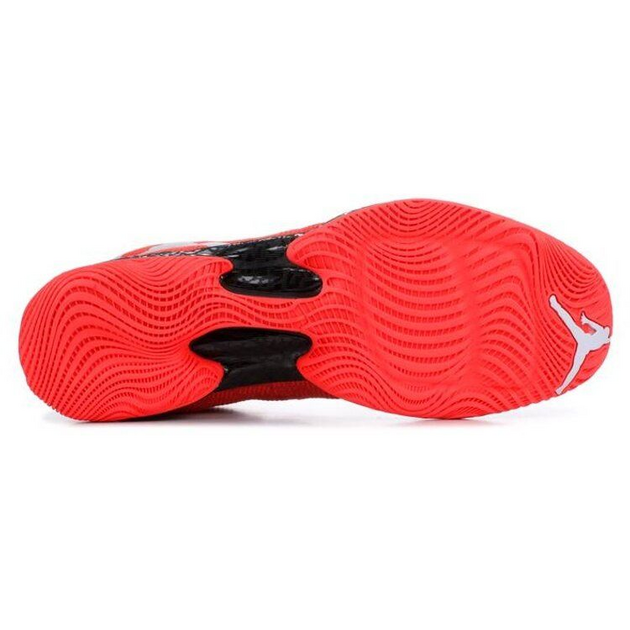 Air Jordan 29 Infrared 23