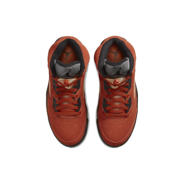 Air Jordan 5 Dunk on Mars