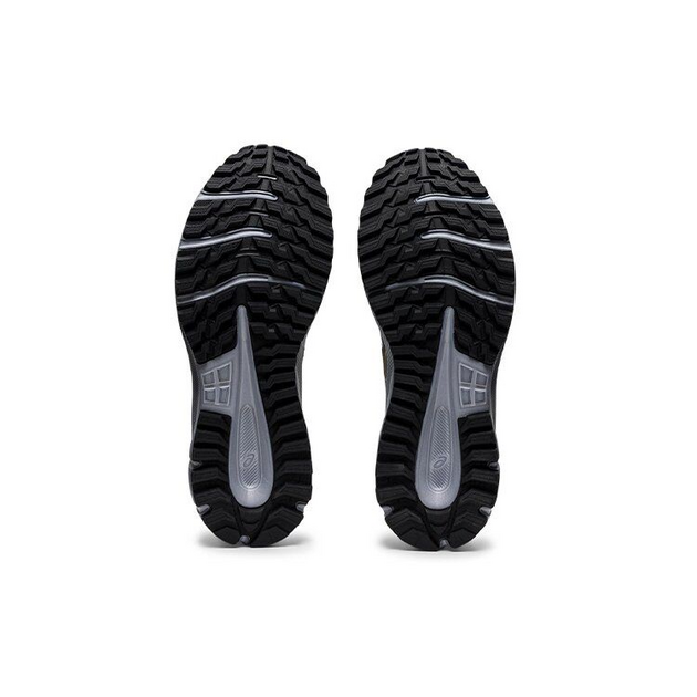 Asics TRail Scout 2
