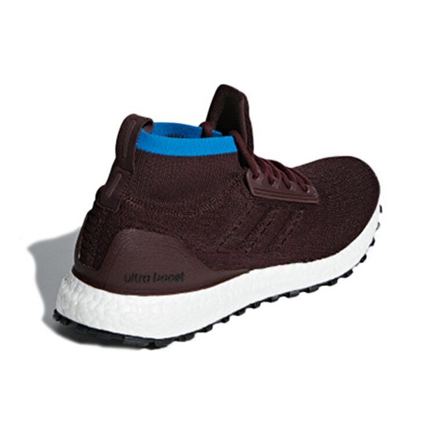 Adidas UltraBoost All Terrain