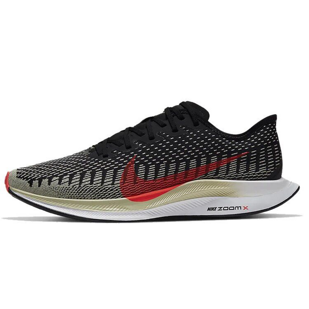 Nike Pegasus Turbo 2