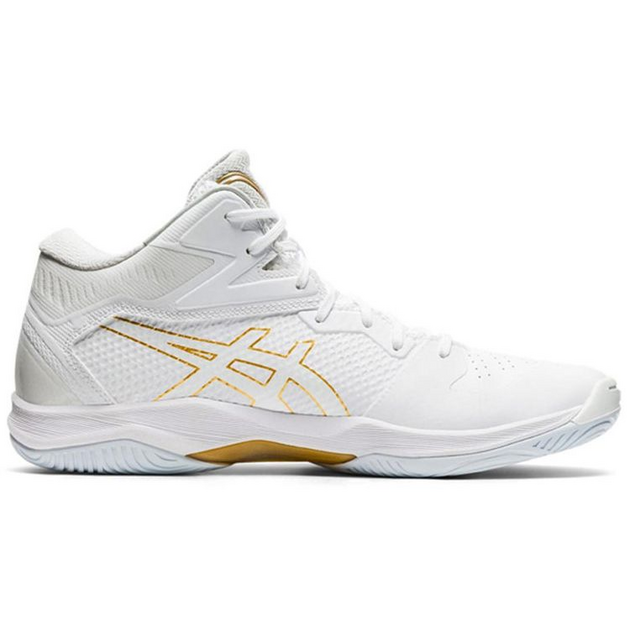 Asics Gel-Hoop V12