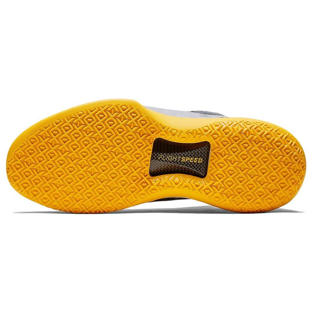 Air Jordan 32 Low Michigan