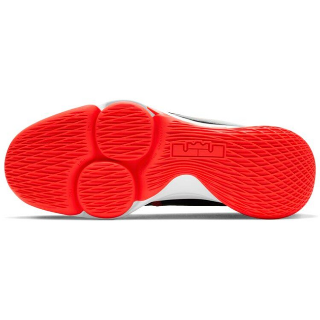 Nike Witness 5 LeBron EP