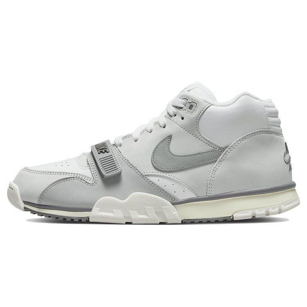 Nike Air TRainer 1 Photon Dust