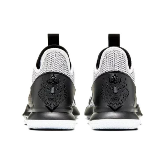 Nike Witness 4 LeBron EP