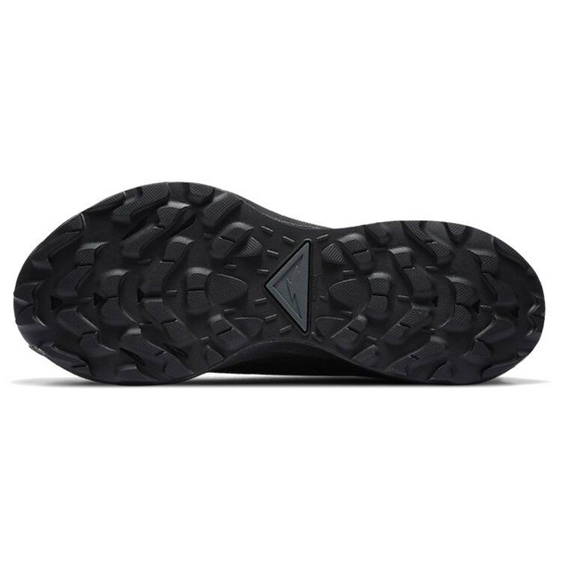 Nike Pegasus TRail 2