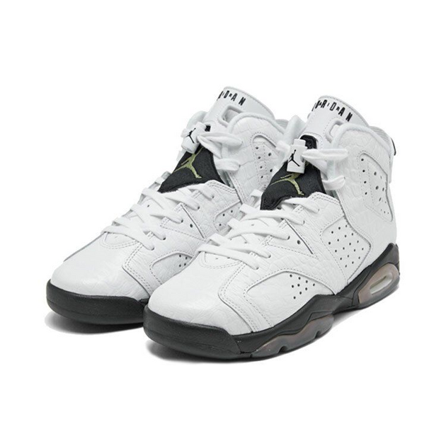 Air Jordan 6 Alligator GS