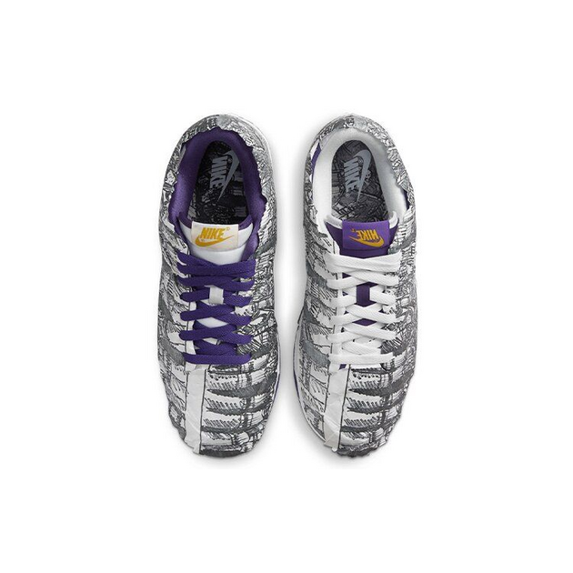 Nike Dunk Low Flip The Old School
