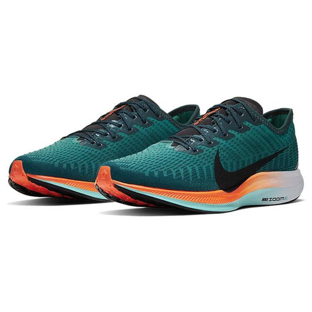 Nike Pegasus Turbo 2