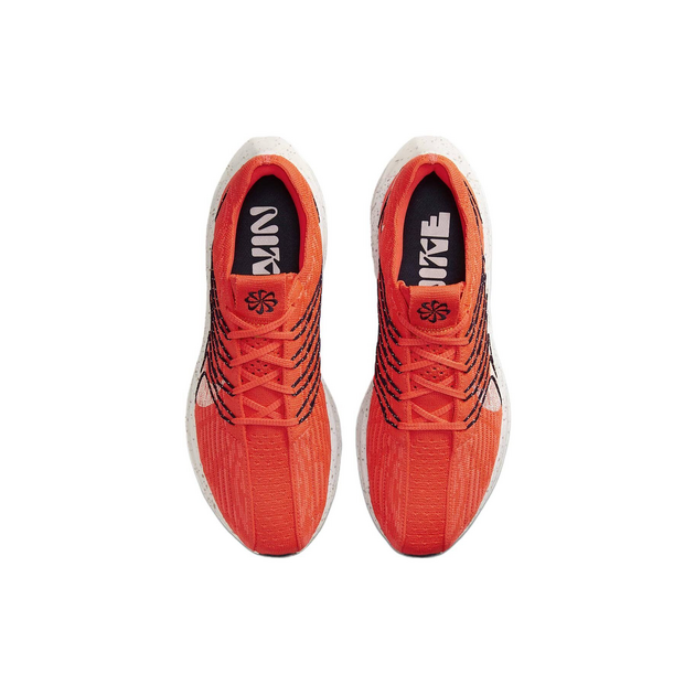 Nike Pegasus Turbo Next Nature