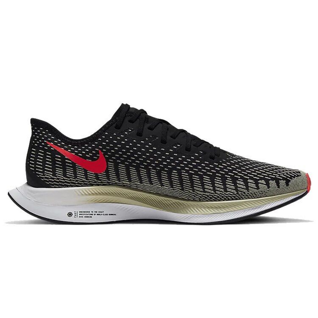 Nike Pegasus Turbo 2