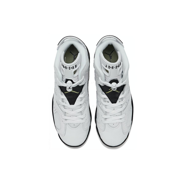 Air Jordan 6 Alligator GS