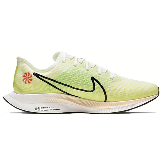 Nike Pegasus Turbo 2
