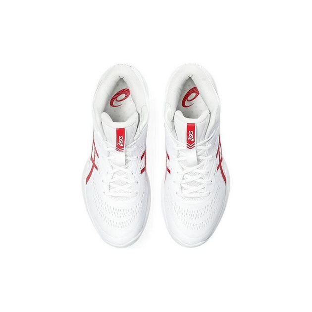 Asics Gel-Hoop V15