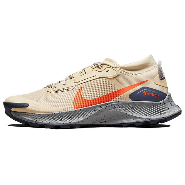 Nike Pegasus TRail 3 GTX