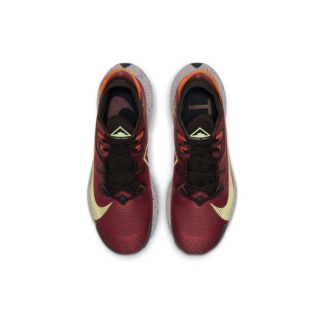 Nike Pegasus TRail 2