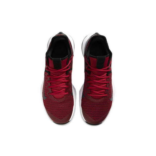 Nike Witness 4 LeBron EP