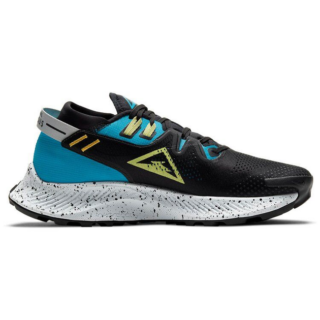 Nike Pegasus TRail 2