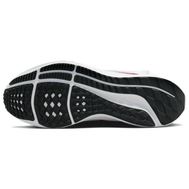 Nike Pegasus FlyEase