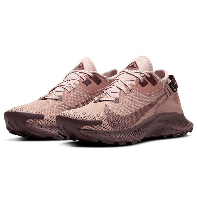 Nike Pegasus TRail 2 Gore-Tex