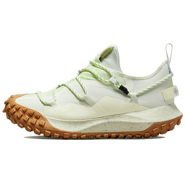 Nike ACG Mountain Fly Low GTX Se