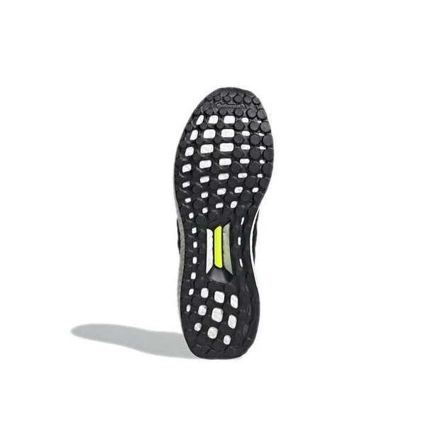 Adidas UltraBoost DNA Guard