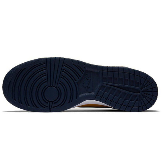 Nike Dunk SP Michigan 2020