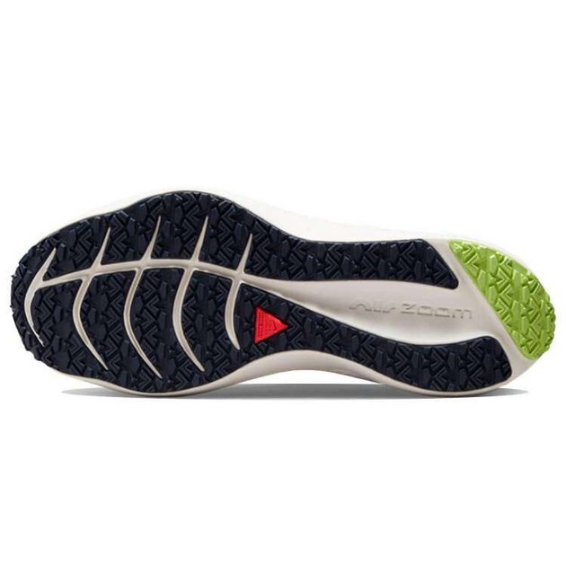 Nike Zoom Winflo 8 Air Zoom