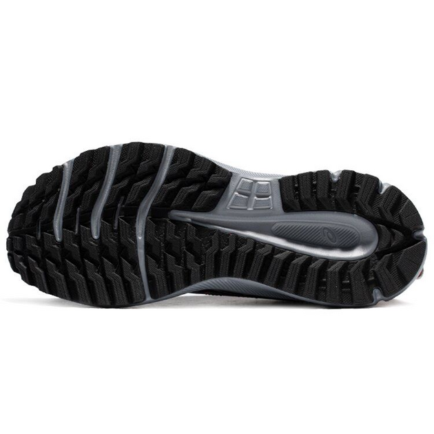 Asics TRail Scout 2