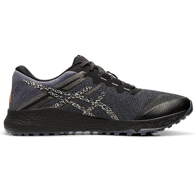 Asics Alpine XT 2