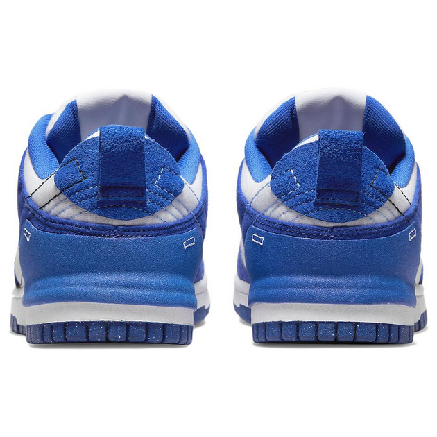 Nike Dunk Disrupt 2