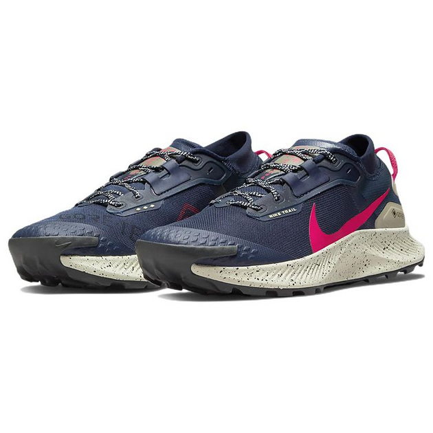 Nike Pegasus TRail 3 GTX